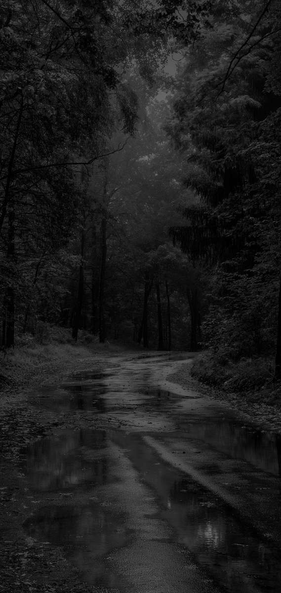 svart och vit bakgrund pussel online från foto