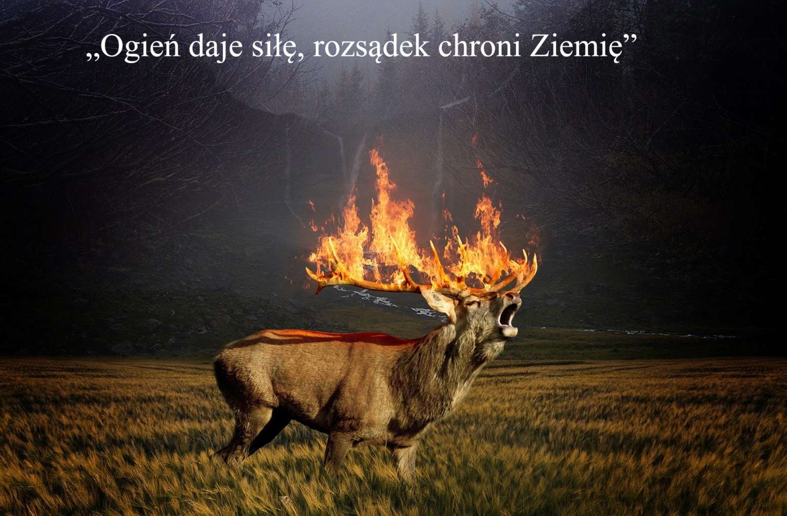 Giornata della Terra del Fuoco puzzle online da foto