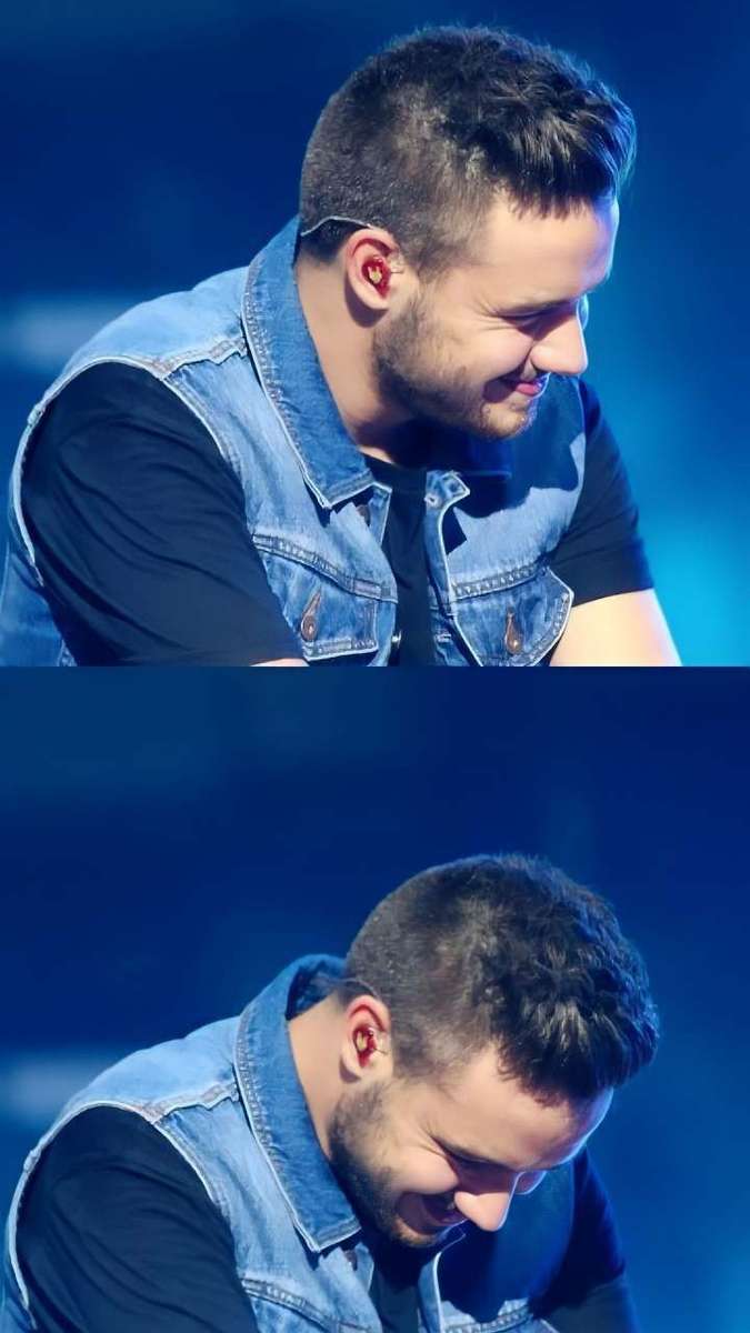 Liam Payne online puzzle