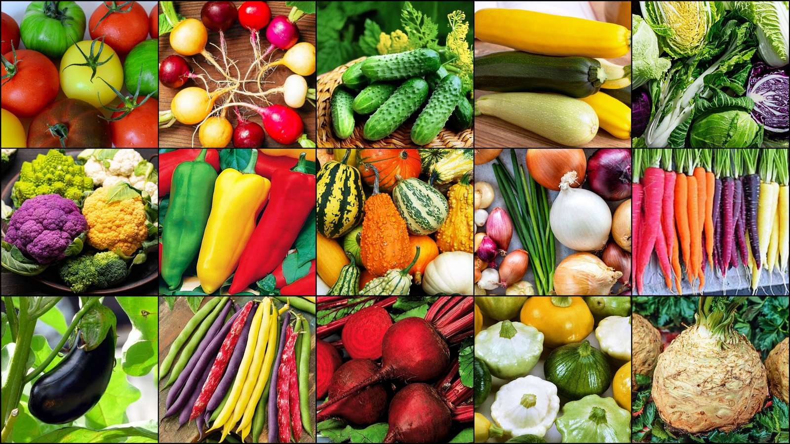 Vegetables. online puzzle